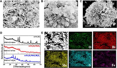 A photoelectrochemical aptasensor based on double Z-scheme α-Fe2O3/MoS2/Bi2S3 ternary heterojunction for sensitive detection of circulating tumor cells